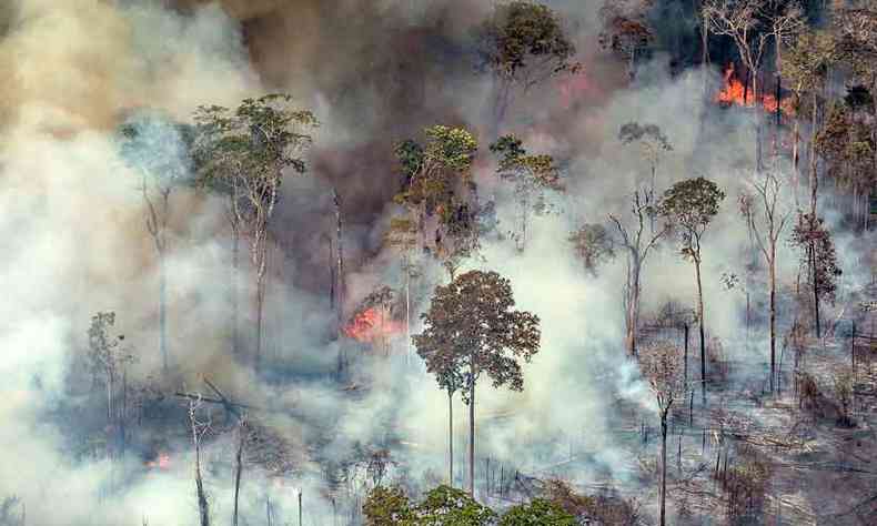 A publicao lembrou que o presidente Jair bolsonaro amenizou os incndios e os atribuiu a ongs(foto: victor moriyama/afp )
