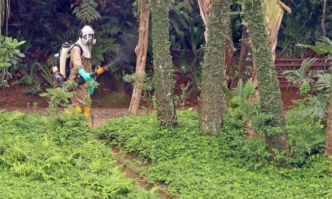 Em Juiz de Fora, Parque do Museu Mariano Procópio foi fechado: macaco achado morto será examinado em Belo Horizonte(foto: Leonardo Costa/Tribuna de Minas) Em Juiz de Fora, Parque do Museu Mariano Procópio foi fechado: macaco achado morto será examinado em Belo Horizonte(foto: Leonardo Costa/Tribuna de Minas)