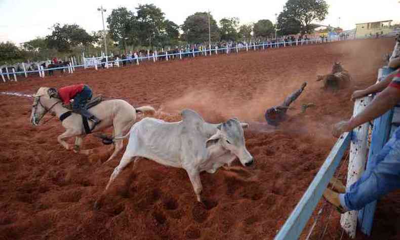A vaquejada consiste na tentativa de dois vaqueiros montados a cavalo de derrubar um boi, puxando-o pelo rabo(foto: Tulio Santos/EM/DA Press)