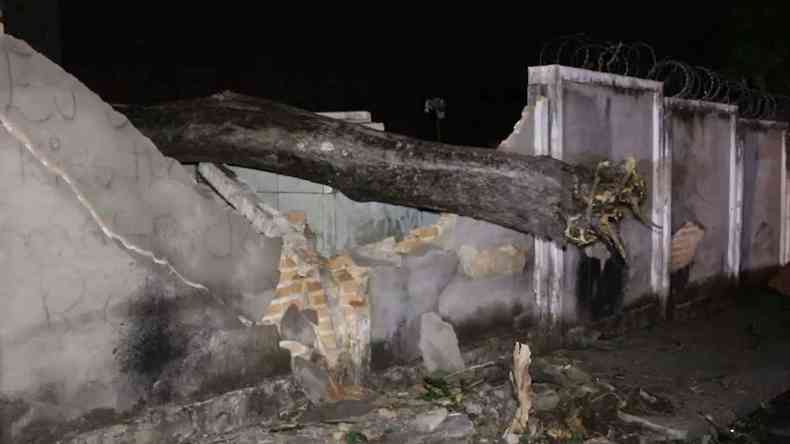 Uma rvore caiu e destruiu parte do muro do cemitrio de Divinpolis(foto: Amanda Quintiliano/EM. D. A. Press)
