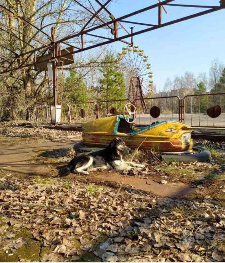 Co na rea de Chernobyl