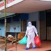 Nipah: como age o vírus que vem causando pânico na Índia 