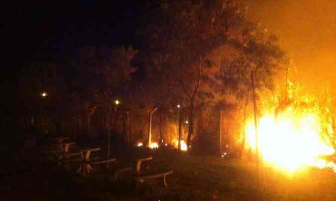 Incndio em mata no Buritis (foto: Leandro Couri/EM/D.A Press)