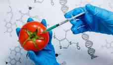 No DNA: como a gentica interfere na necessidade nutricional