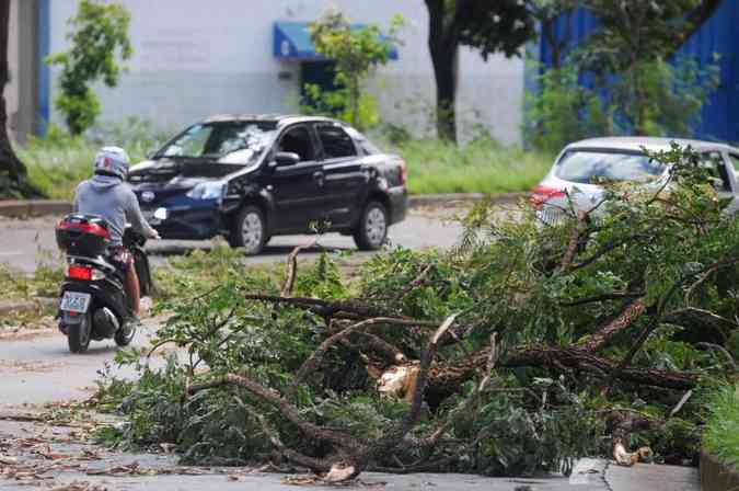 Chuva acompanhada de fortes ventos provocou estragos em bairros da Regio Oeste de Belo Horizonte durante a madrugadaLeandro Couri/EM/DA Press