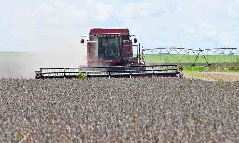 Brasil deve registrar em 2020 novos recordes na produção de soja(foto: Minervino Junior/CB/D.A Press )