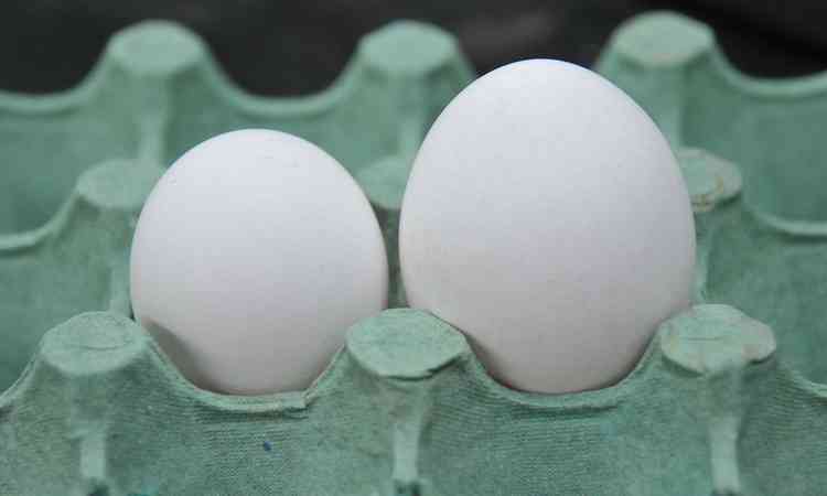 Um ovo de tamanho pequeno e outro ovo de tamanho grande, lado a lado, em uma caixa de ovos
