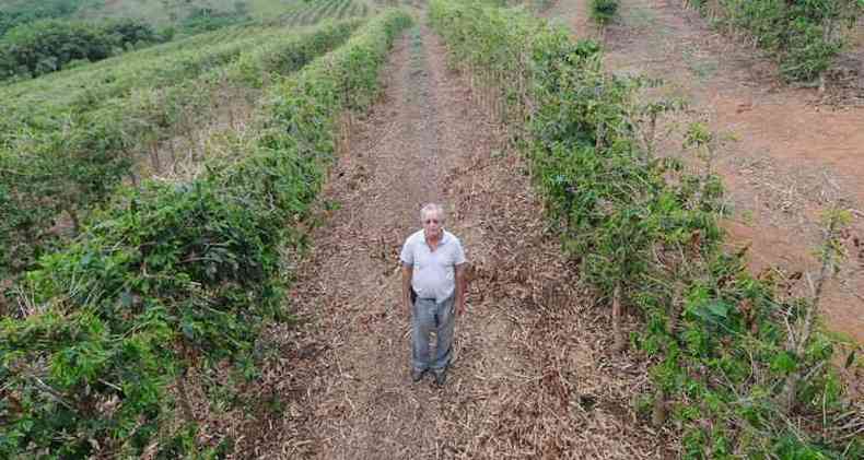 Em Machado, no Sul de Minas, o produtor Adilson Moreira Soares podou a plantação, mas seca reduziu produtividade em 25% e forçou corte de 30% no número de funcionários da fazenda(foto: Leandro Couri/EM/D.A Press)