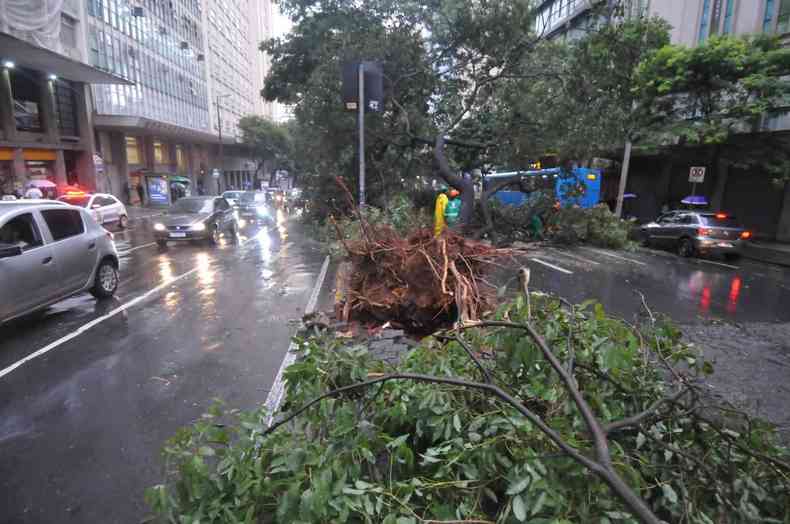 Chuva derruba rvore na Avenida Amazonas, na Praa Sete, em Belo Horizonte