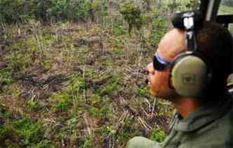 No Mato Grosso, reas florestais ilegalmente atingiram 54% do total explorado em 2012, segundo ONG (foto: Minervino Junior/CB/D.A/Press)