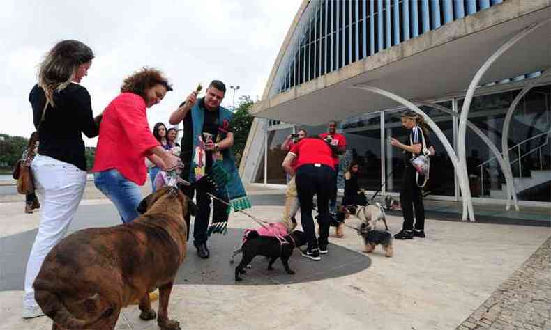 O capelo Otvio Juliano recebe donos e bichos, unidos nos ideais do santo conhecido pela humildade e o amor  natureza(foto: Gladyston Rodrigues/EM/DA Press)