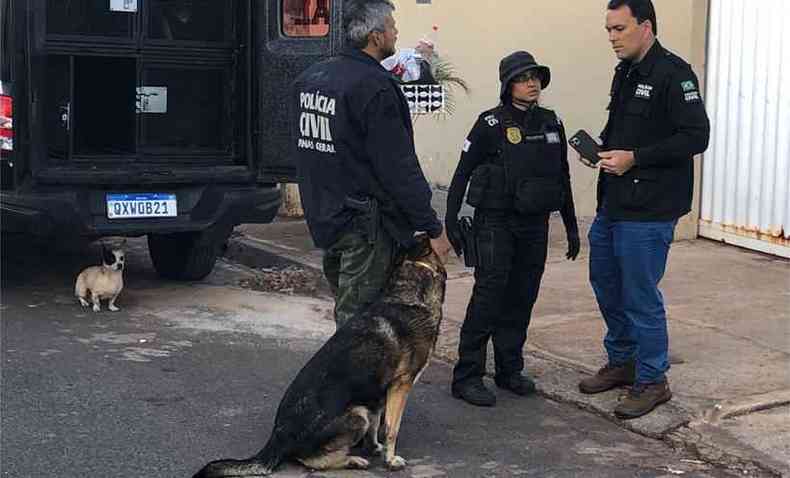 Cães farejadores auxiliaram nas buscas por drogas em imóveis ligados aos investigados