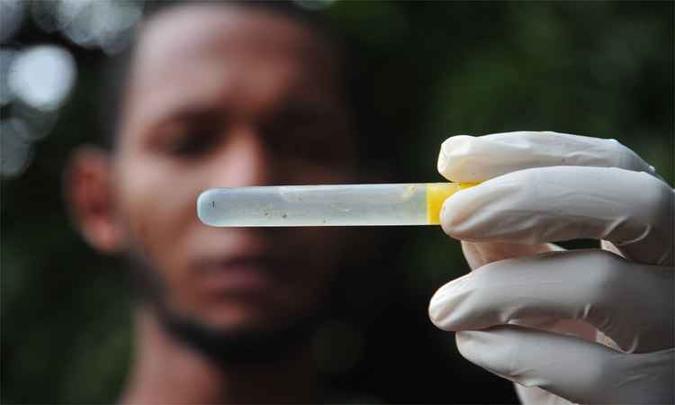 Técnicos encontraram larvas do mosquito em sucatas e entulhos deixados nos quintais das residências rurais(foto: Leandro Couri/EM/DA Press) Técnicos encontraram larvas do mosquito em sucatas e entulhos deixados nos quintais das residências rurais(foto: Leandro Couri/EM/DA Press)
