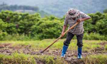 Homem agropecuria