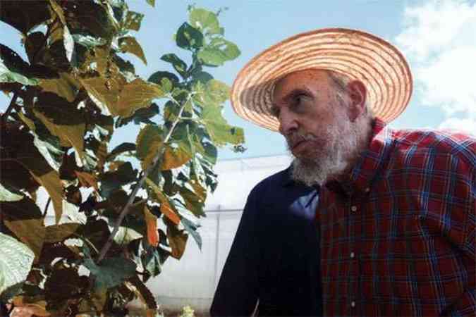 Fidel posou para fotos do lado de fora de sua casa(foto: AFP PHOTO / CUBADEBATE)
