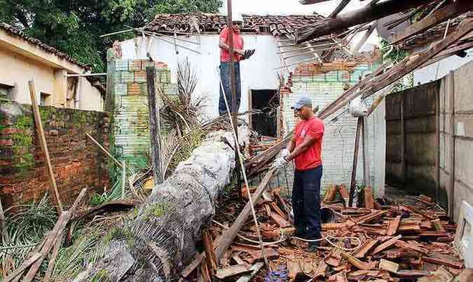 rvore cai e atinge casa em Pirapora, no Norte de Minas Gerais(foto: Aparcio Mansur/Esp. EM)