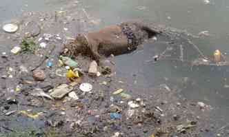 Animais estavam em meio a lixo acumulado na Lagoa da Pampulha(foto: Kilder Costa/Divulgao)