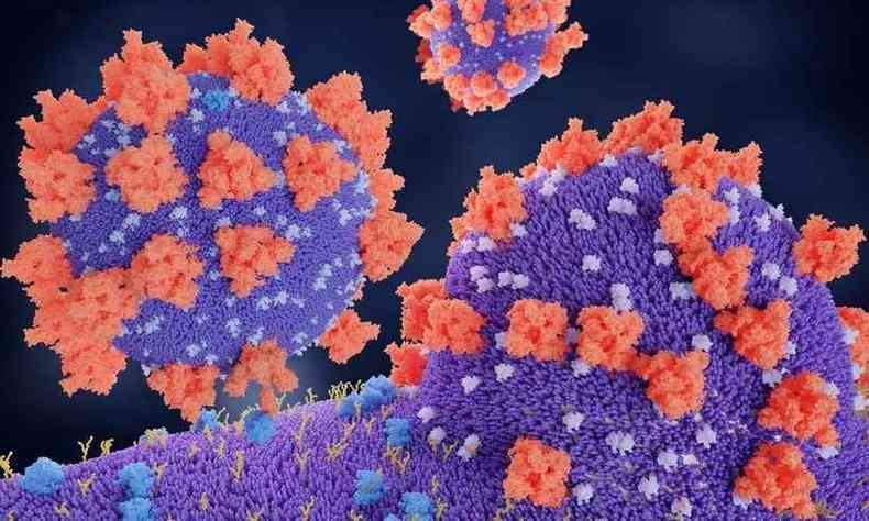 Hospitais de BH daro incio a testes com a angiotensina 1-7 contra a infeco por COVID-19(foto: Reproduo/Science Photo Library)