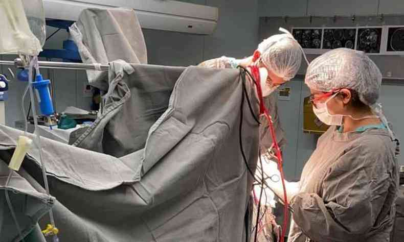 Durante o procedimento, o paciente  avaliado para atestar que as regies eloquentes do crebro no sejam lesadas(foto: Foto: Instituto Mario Penna / Divulgao)