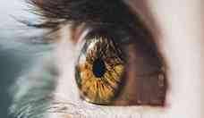 Glaucoma: trs em cada dez brasileiros no vo ao oftalmologista