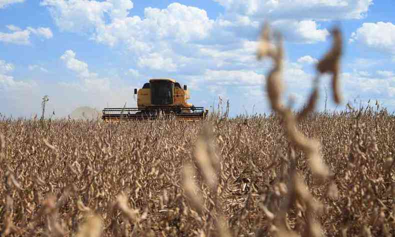 Brasil deve alcanar em 2020 novos recordes de produo de soja e de algodo(foto: MONSANTO/DIVULGACAO )