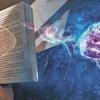 Conheça a neurovisão, ciência que estuda o que é captado pelos olhos 