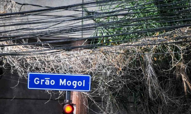Trepadeiras em fiao visto de perto