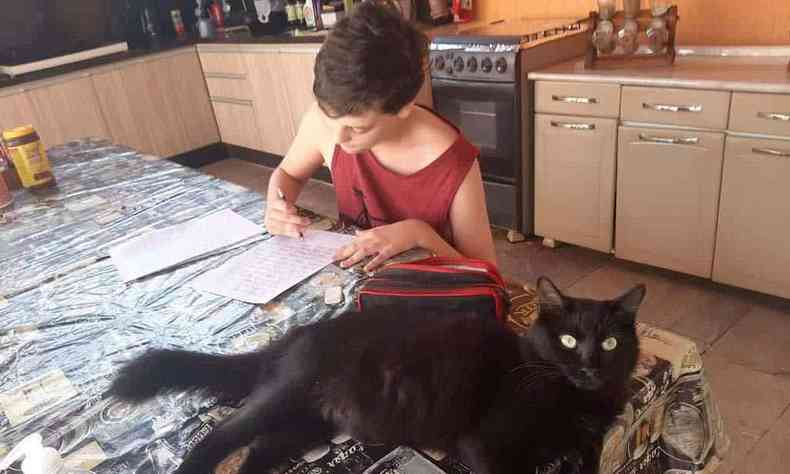O irmo de Jlia, Csar, estuda com a companhia dos gatos