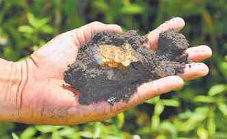 A terra preta de ndio, encontrada na Amaznia, tambm  foco de trabalho do pesquisador, em parceria com o Inpa(foto: ADO JRIO VASCONCELOS/DIVULGAO)