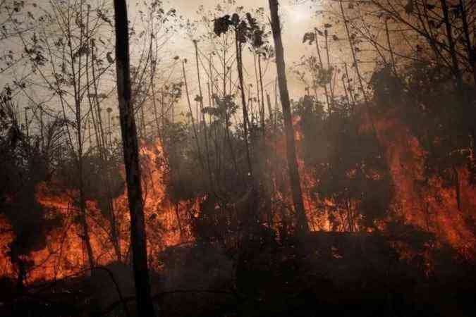 O que acontece na Amazônia, não fica - Greenpeace Brasil