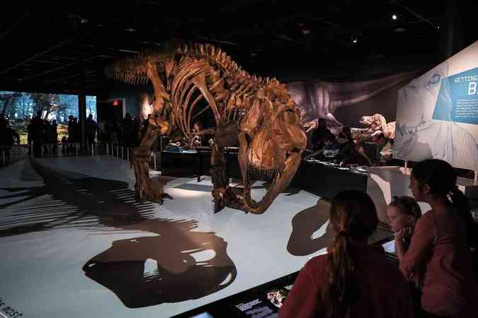 Exposio nos Estados Unidos vai mostrar o Tiranossauro rex, um dos mais temveis carnvoros da histriaDrew Angerer / GETTY IMAGES NORTH AMERICA / AFP