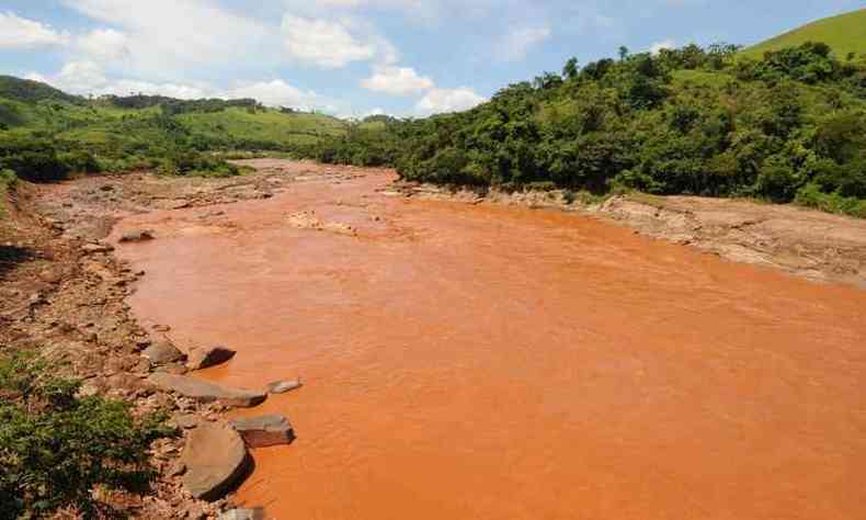 Bacia do Rio Doce foi poluda devido rompimento da barragem de rejeito de minrio(foto: Tlio Santos/EM/D.A.Press)