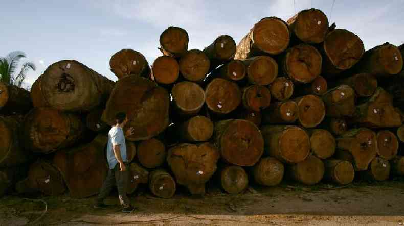 Toras de rvores amazicas prontas para serem vendidas em depsito prximo ao rio Jamari, em Rondnia(foto: BBC)