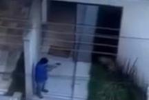 Homem acusado de matar c�o com 11 tiros em Par� de Minas volta � pris�o ap�s virar r�u