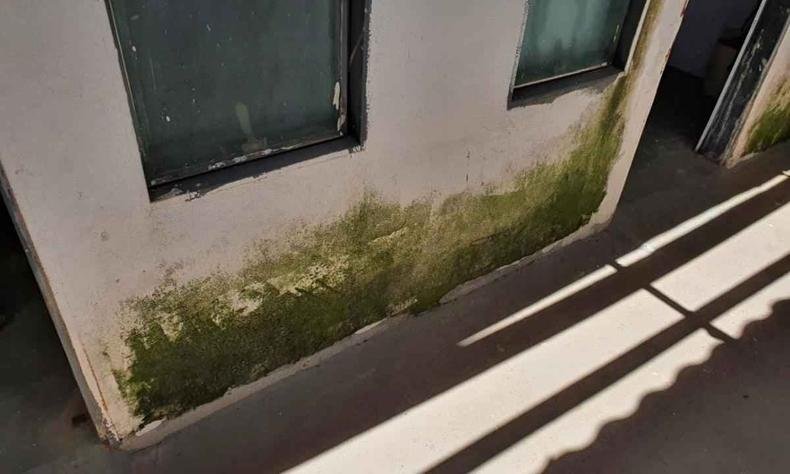Parede mofada em um dos asilos interditados essa semana em Uberaba