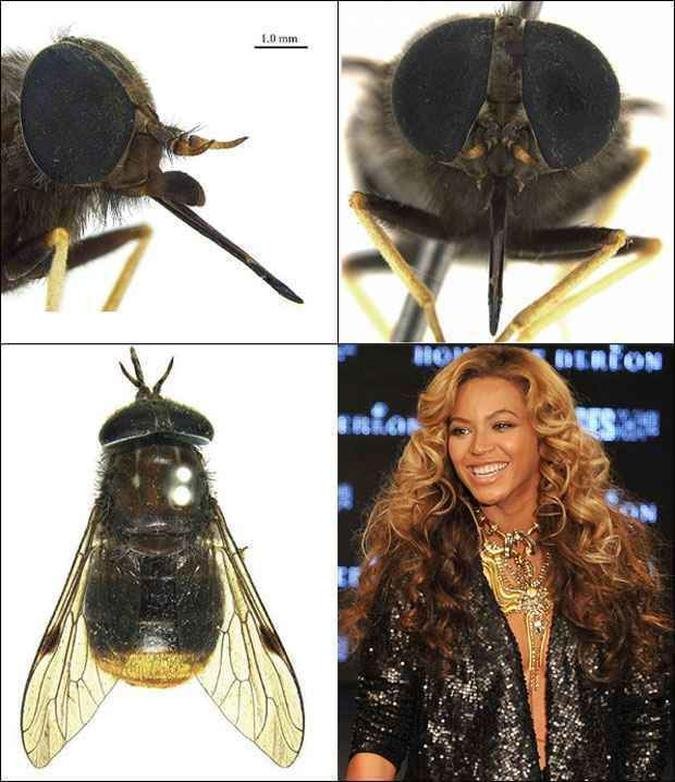 (foto: AFP PHOTO / HO / CSIRO / Bryan LESSARD / BEN STANSALL )