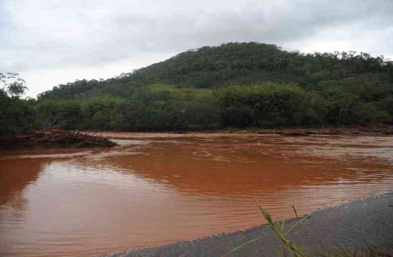 Lama de rejeitos que vazou da barragem de Fundo contaminou o Rio Doce(foto: Leandro Couri/EM/D.A Press)