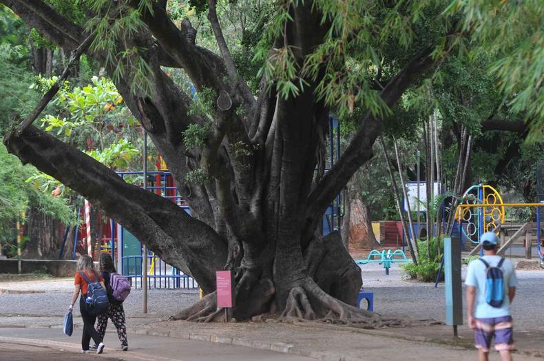 Casais caminhando pelo Parque Municipal 