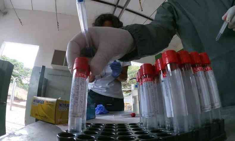 Cientistas com jalecos na cor verde e luvas fazem testes em tubos de coleta de sangue e plasma em laboratório. 