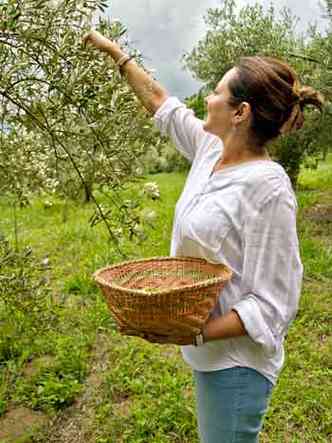 Carla Borriello trocou o mercado financeiro pela plantao de oliveiras(foto: Borriello/Divulgao)