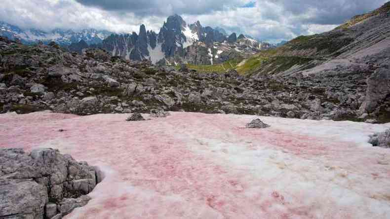 Fenmeno nos Alpes chama a ateno de especialistas(foto: BOB GIBBONS/ALAMY)