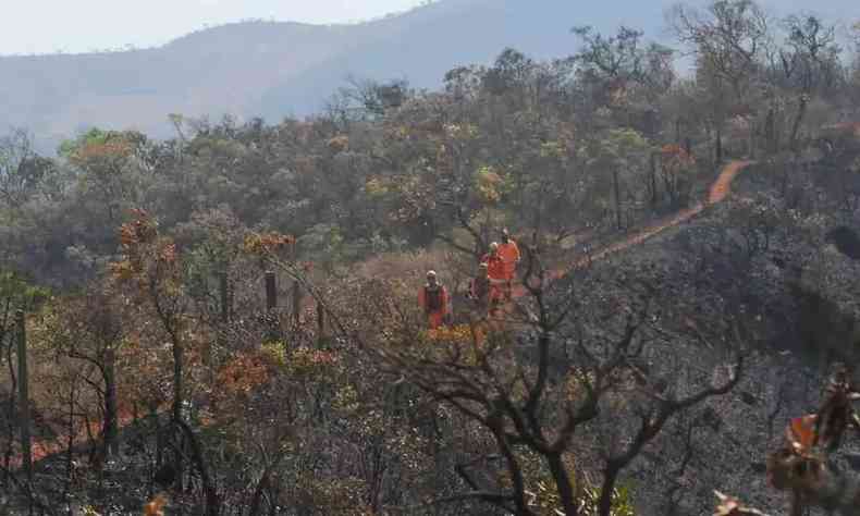 Imagem mostra bombeiros combatendo incêndio na Serra do Curral
