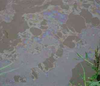 Manchas de leo podem ser vistas no leito do rio(foto: POLCIA DE MEIO AMBIENTE/PMMG )