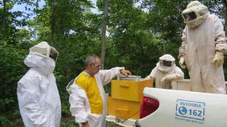 Apicultores de cooperativa de mel do municpio de Piracuruca, no Piau