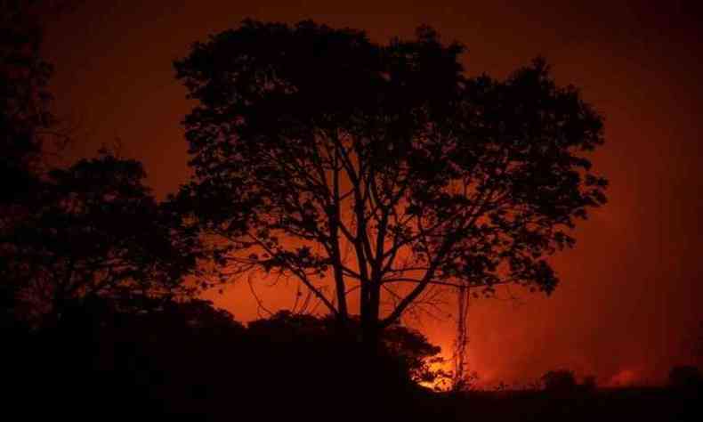 Incndios esto destruindo a regio do Pantanal(foto: Mauro Pimentel/AFP)