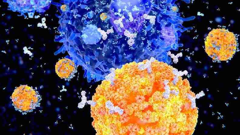 Esta ilustrao mostra clulas plasmticas (clulas B, em laranja) produzindo anticorpos (em branco) para combater um vrus (em azul)(foto: Science Photo Library)