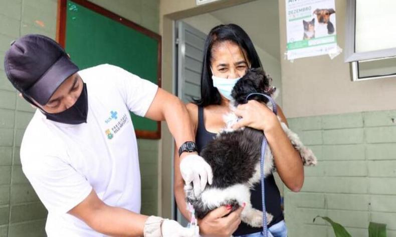 Tutora segurando cão enquanto recebe vacina de médico veterinário