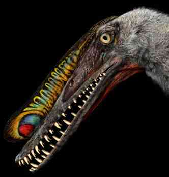 Reconstruo artstica do macho Hamipterus, rptil voador que viveu na poca dos dinossauros (foto: REUTERS/Chuang Zhao)