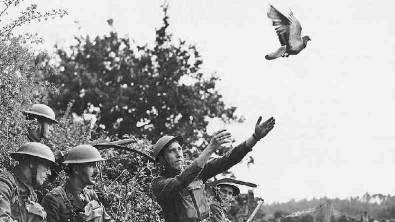 Soldados britnicos enviando um pombo-correio