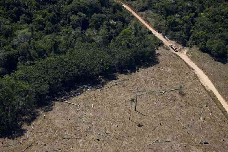 Desmatamento em regio da Amaznia Legal prximo  estrada clandestina, onde passa um caminho carregado de madeira